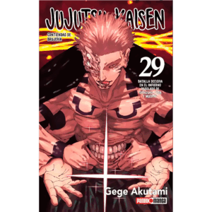 Jujutsu Kaisen 29