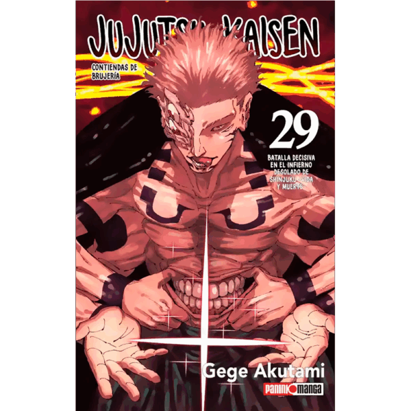 Jujutsu Kaisen 29