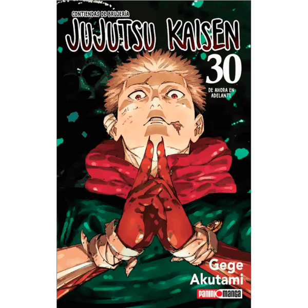 Jujutsu Kaisen 30