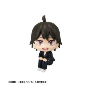 PREORDEN: Look Up: Haikyuu: Tadashi Yamaguchi