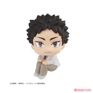 PREORDEN: Look Up: Haikyuu: Hajime Iwaizumi